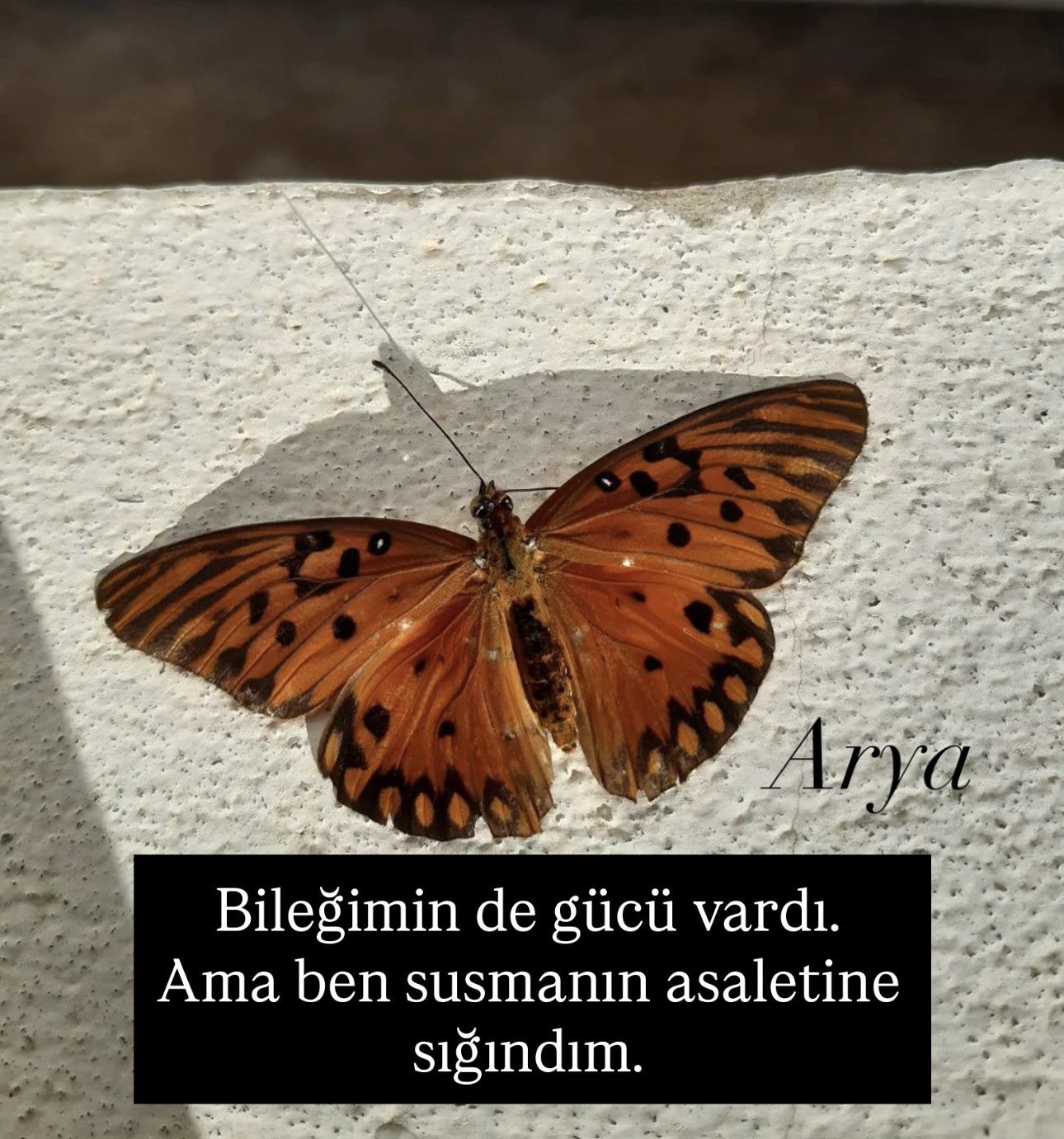 Susmanın gücü